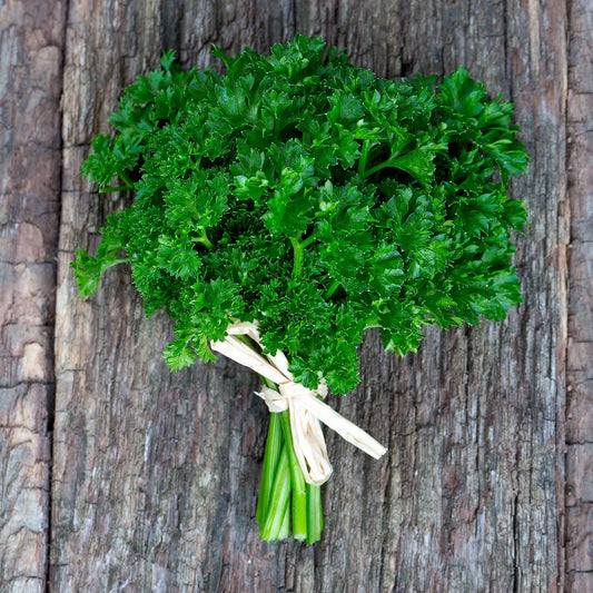 Organic Curled Parsley 