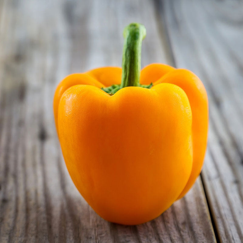 sweet bell pepper orange king