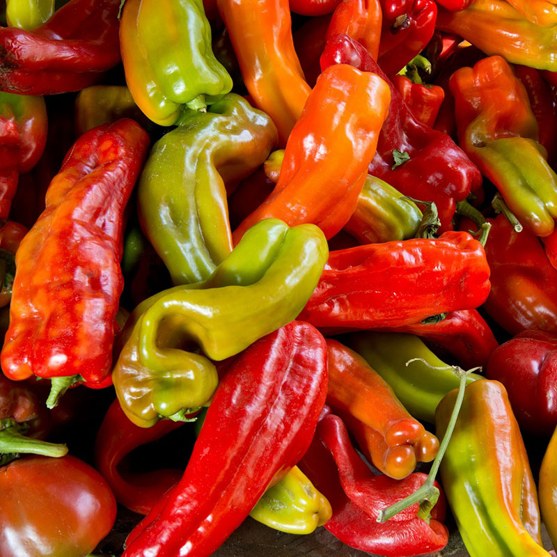 organic hot pepper anaheim chili 