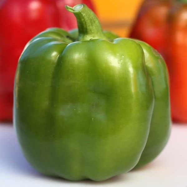organic emerald giant bell pepper 