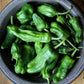 padron pepper 