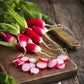 radish french breakfast