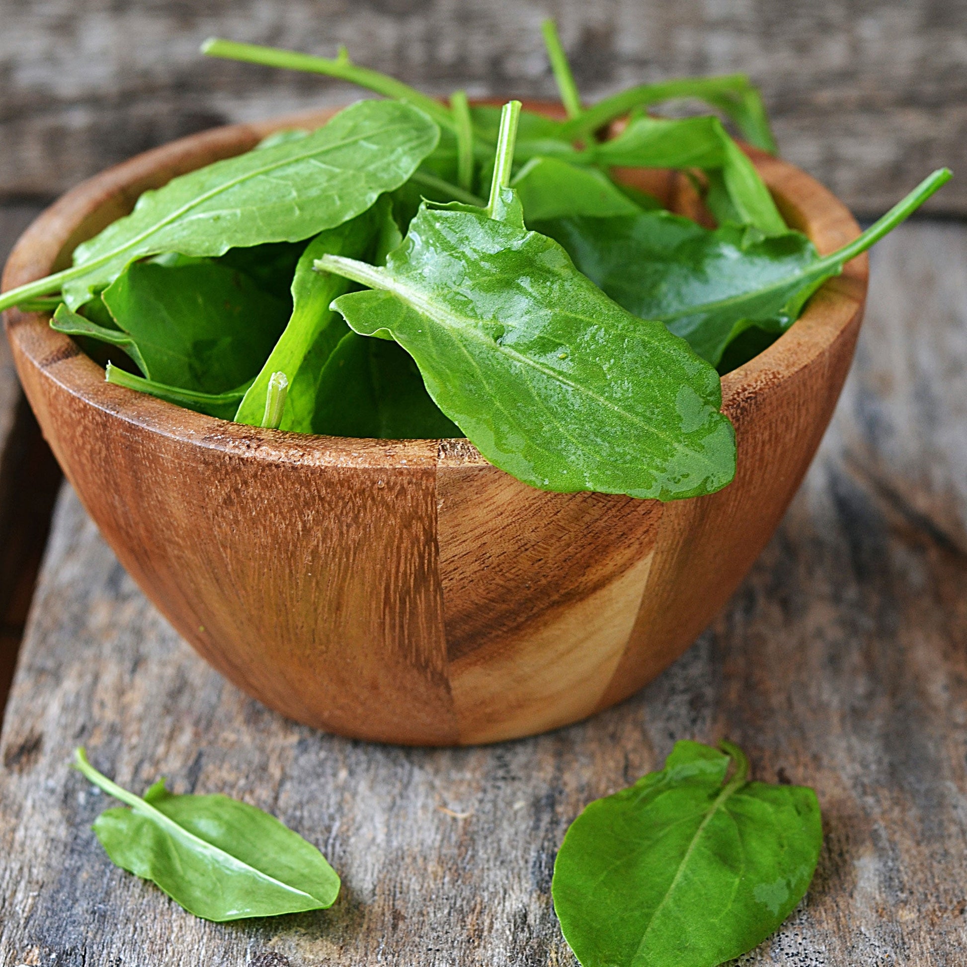 sorrel seeds for planting Bulk Sorrel Seeds