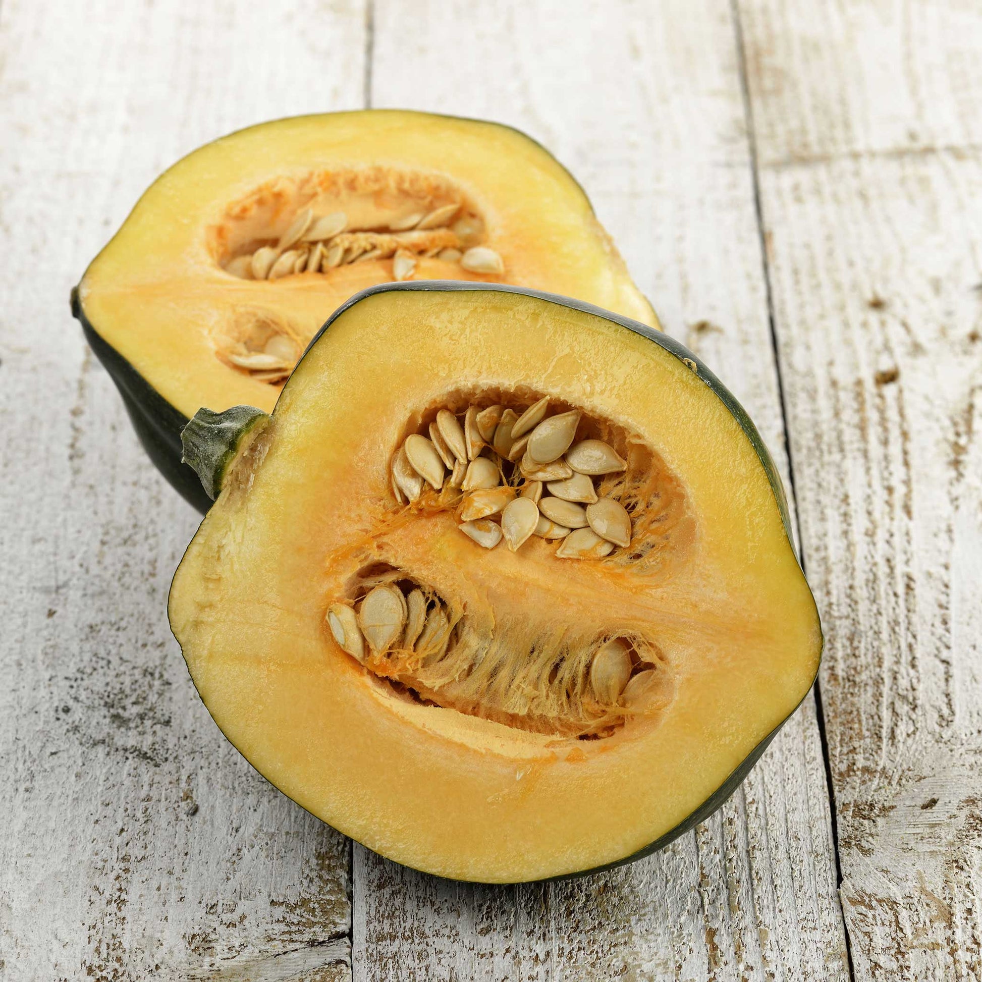 plant acorn squash seeds Bulk Squash (Winter) Seeds