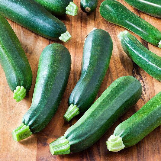 organic black beauty squash