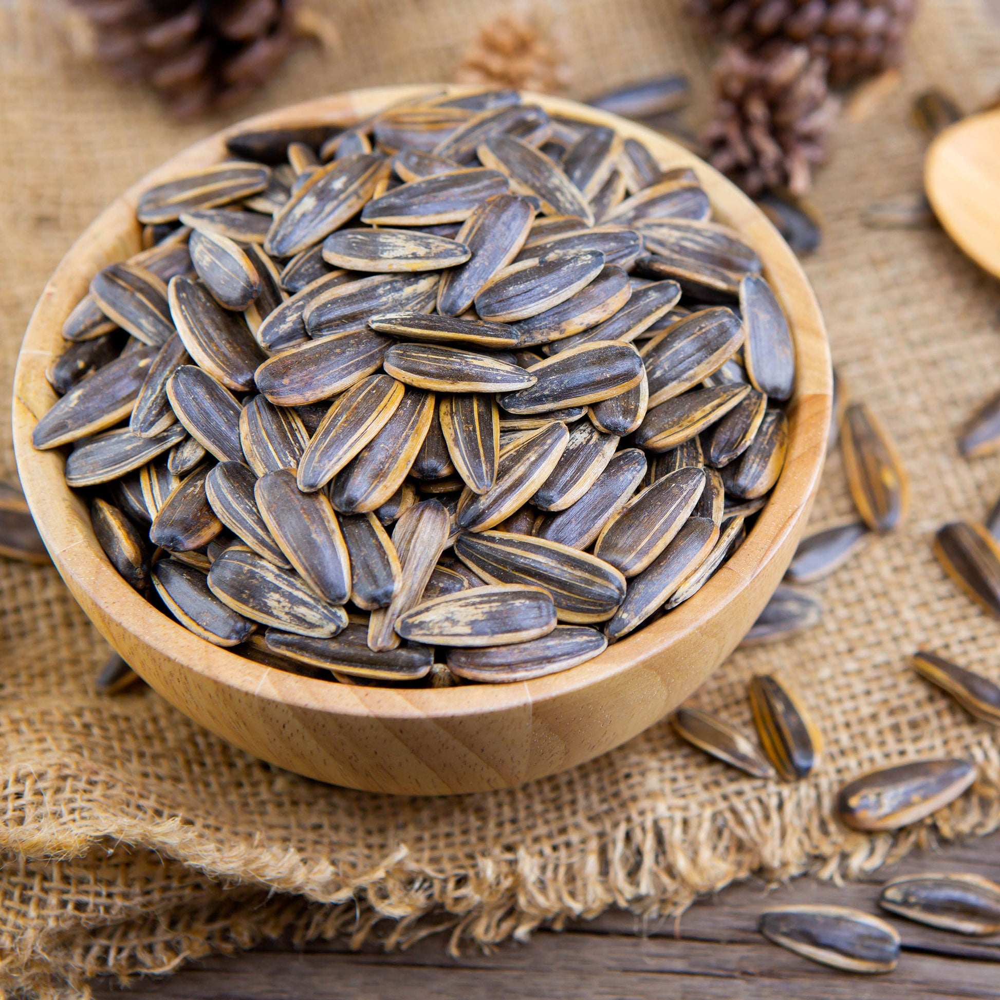 Bulk Sunflower Seeds - Mammoth Grey-Stripe