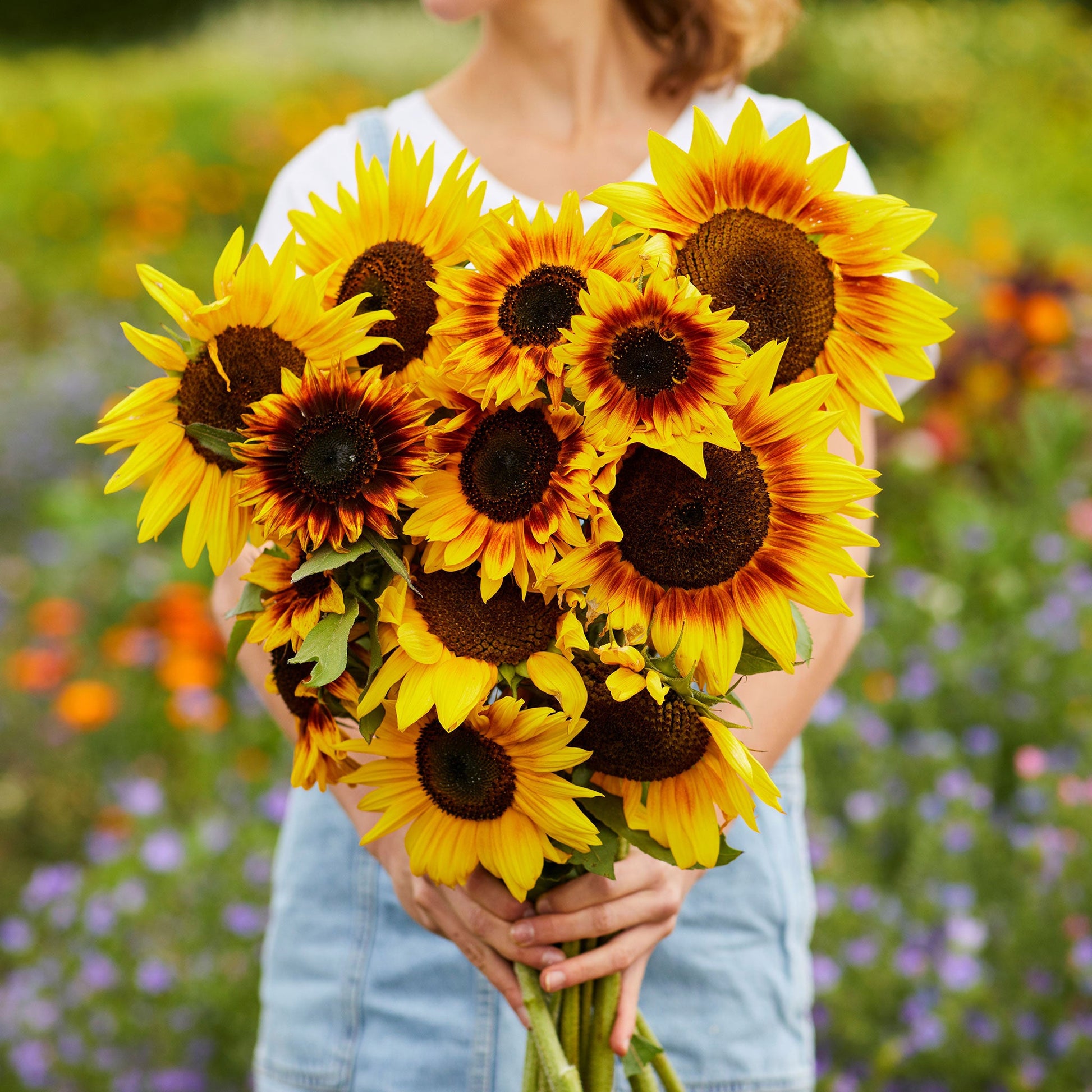 store sunflower seeds for planting Bulk Sunflower Seeds - Ring of Fire