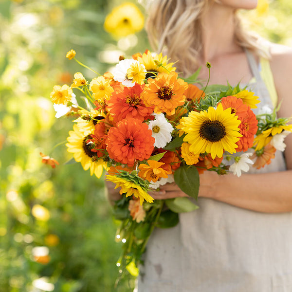 Bulk Sunset Mix - Orange, Yellow & White Flower Seed Mix | Bulk