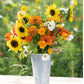 sunset flower seed mix