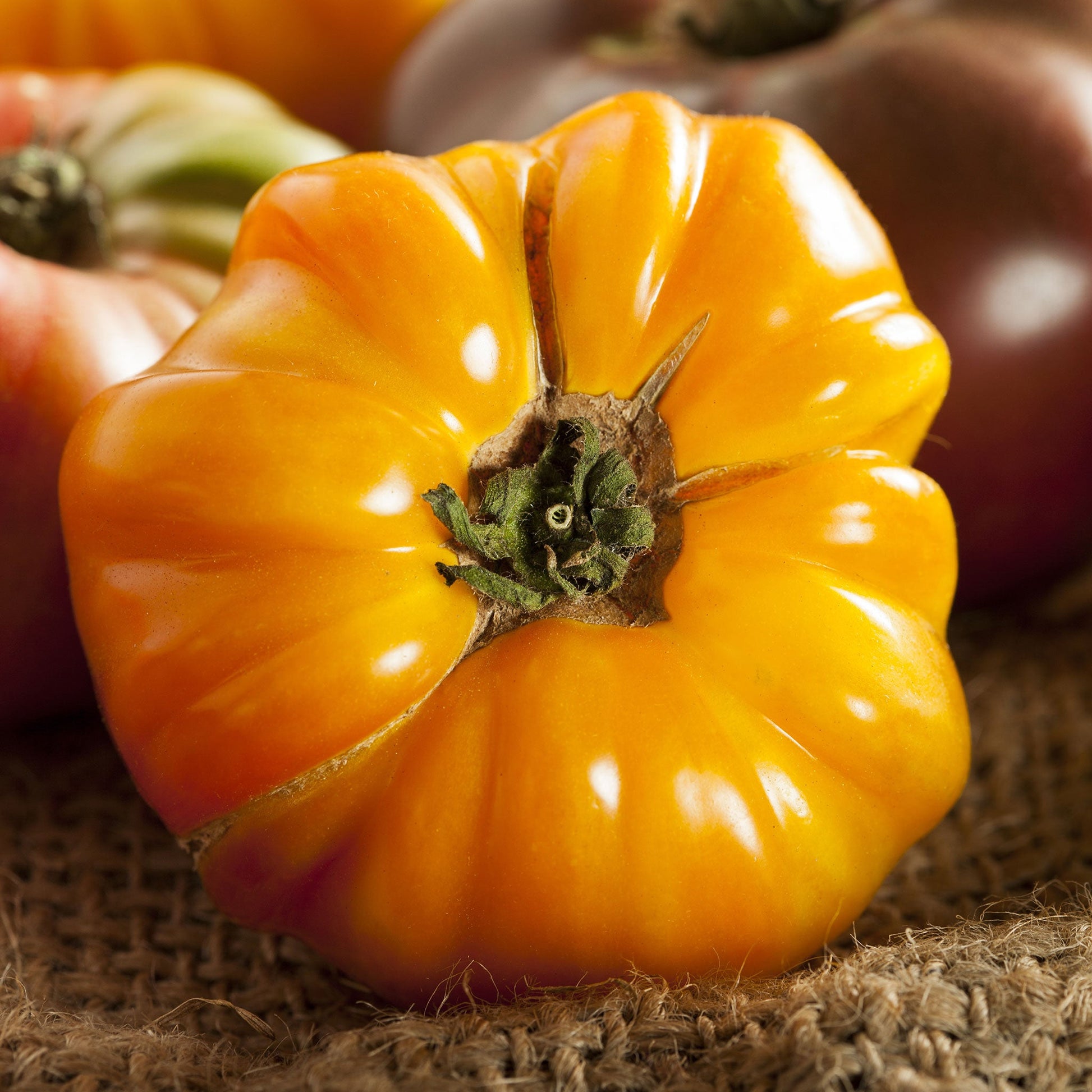 amana orange tomato 