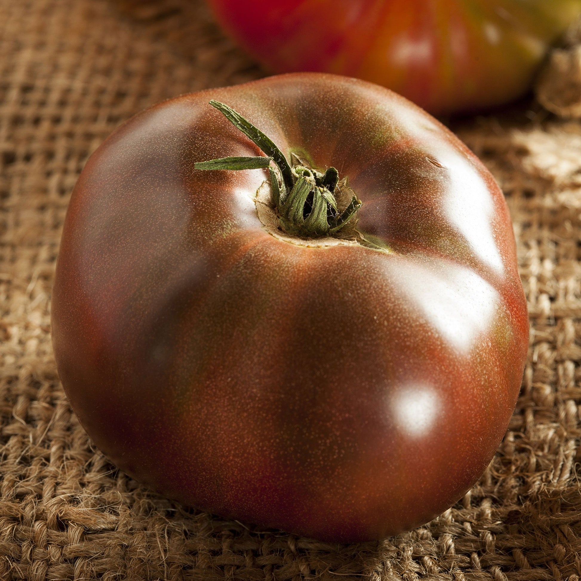 black brandywine tomato 