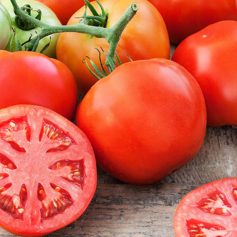 tomato delicious