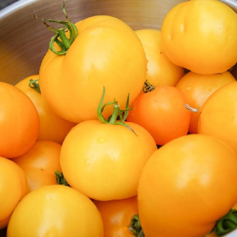 tomato jubilee