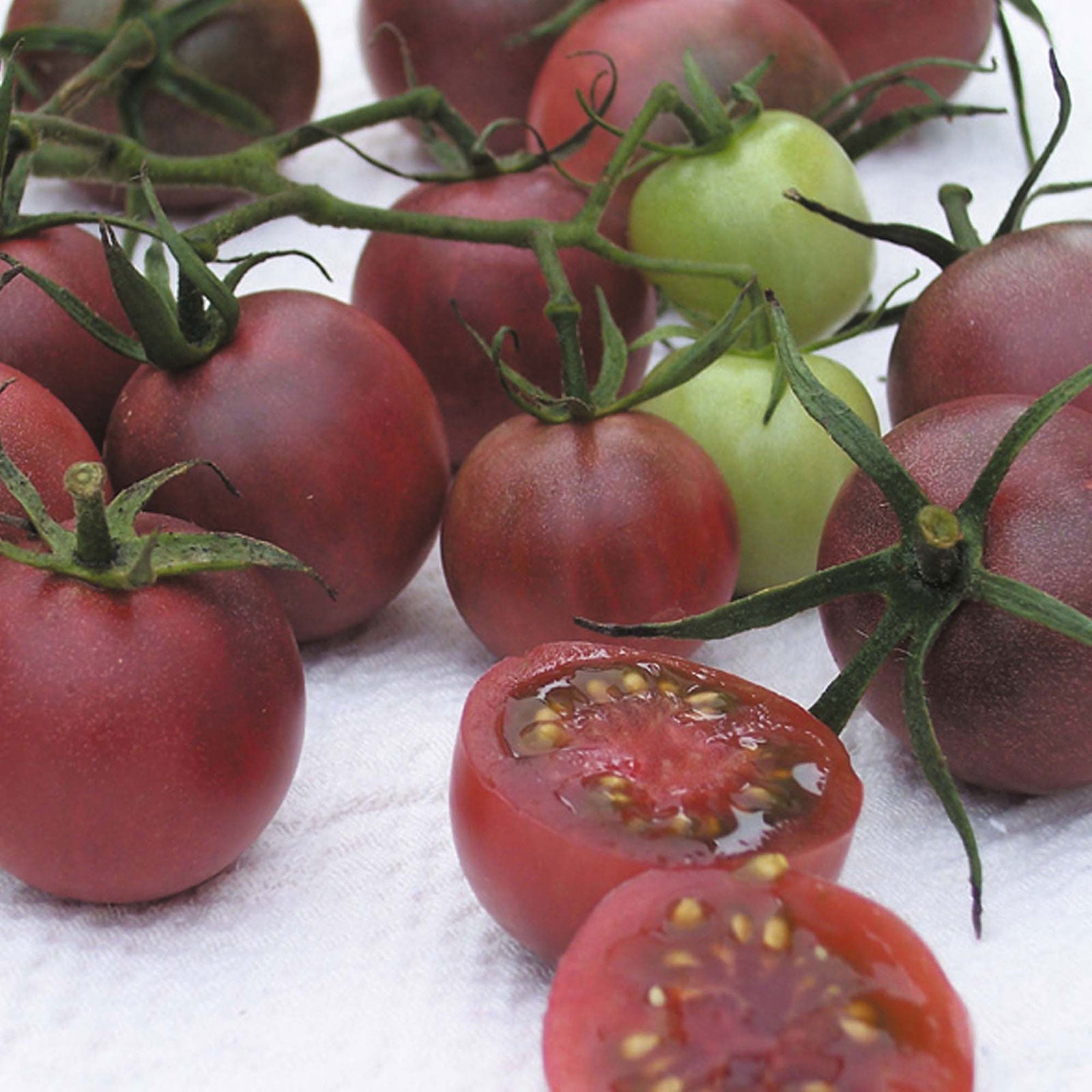 organic black cherry tomato 