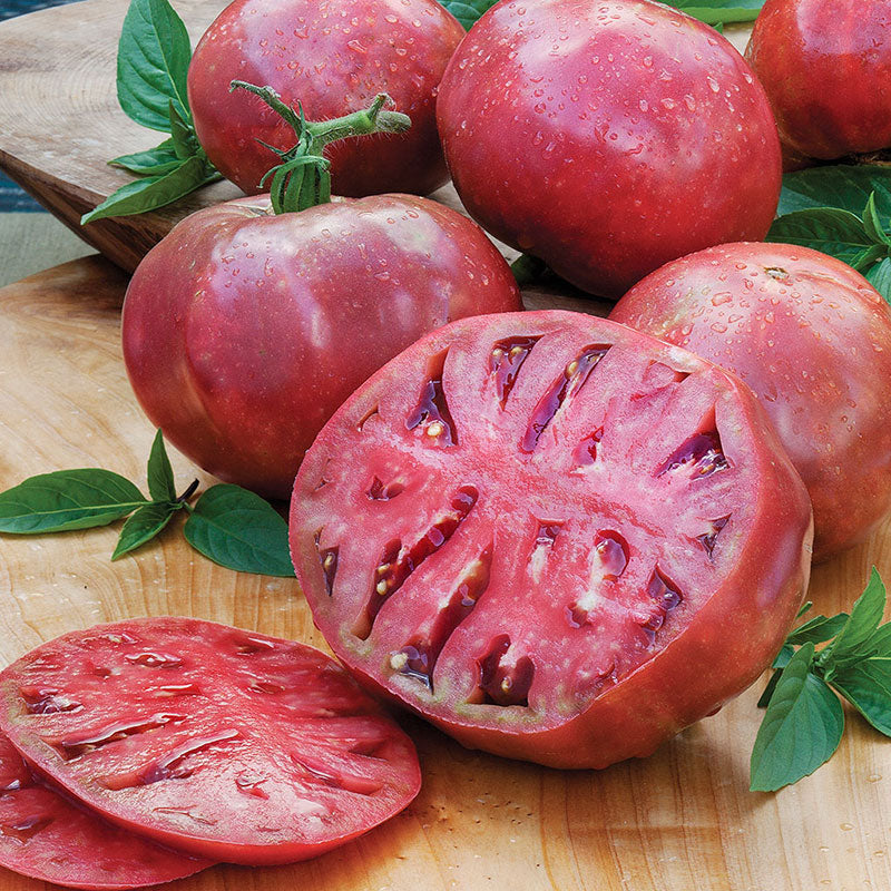 organic purple cherokee tomato 