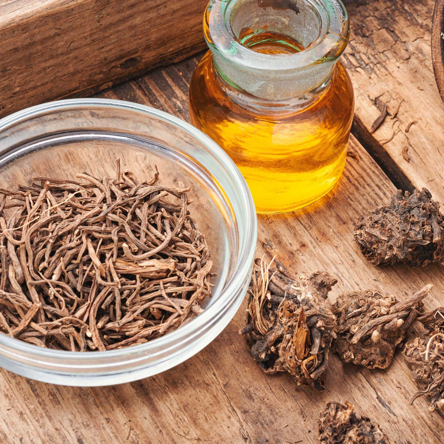 valerian flower seeds Bulk Valerian Seeds