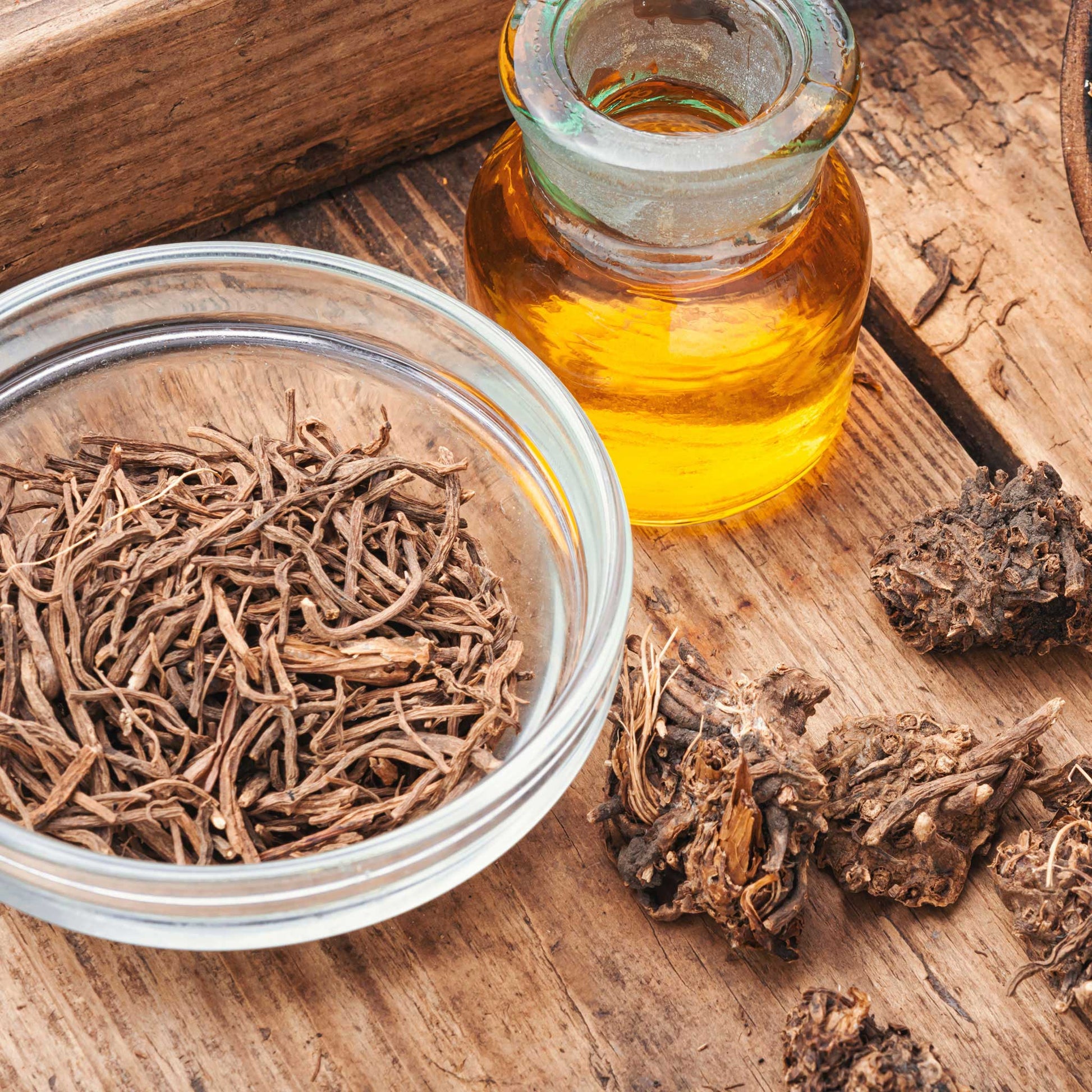 valerian plant seeds Bulk Valerian Seeds