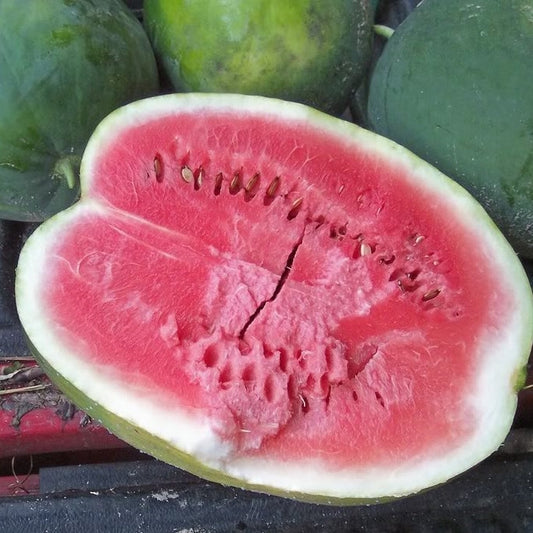 watermelon black diamond