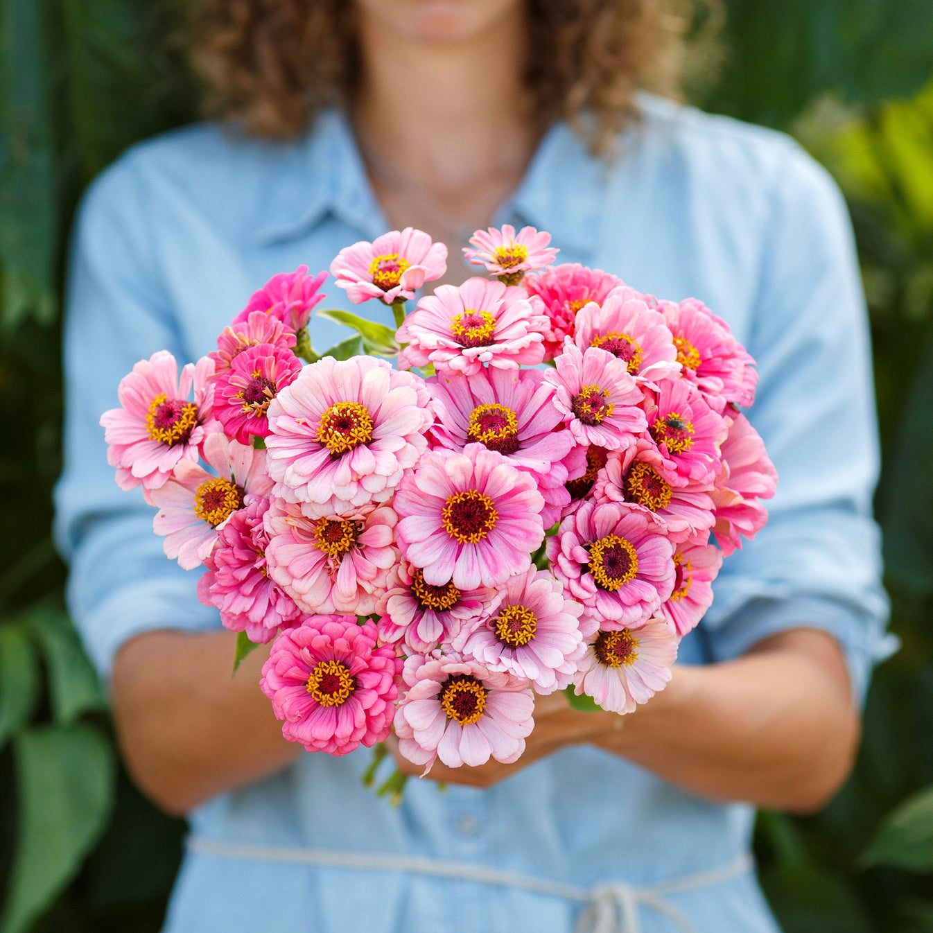 Bulk Zinnia Seeds Exquisite Bulk Seed Store