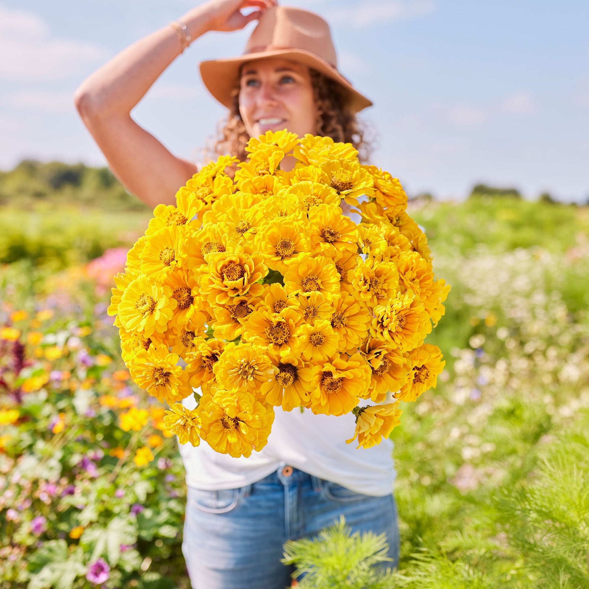zinnia golden state